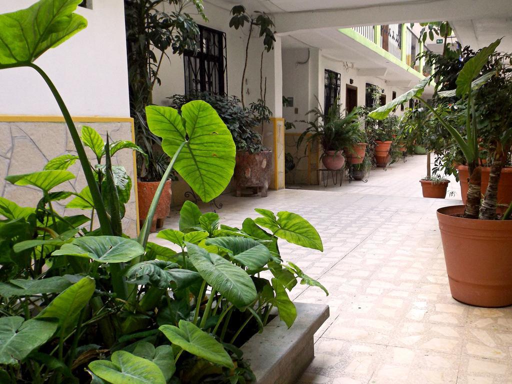Hotel Posada Las Casas San Cristóbal de Las Casas Esterno foto
